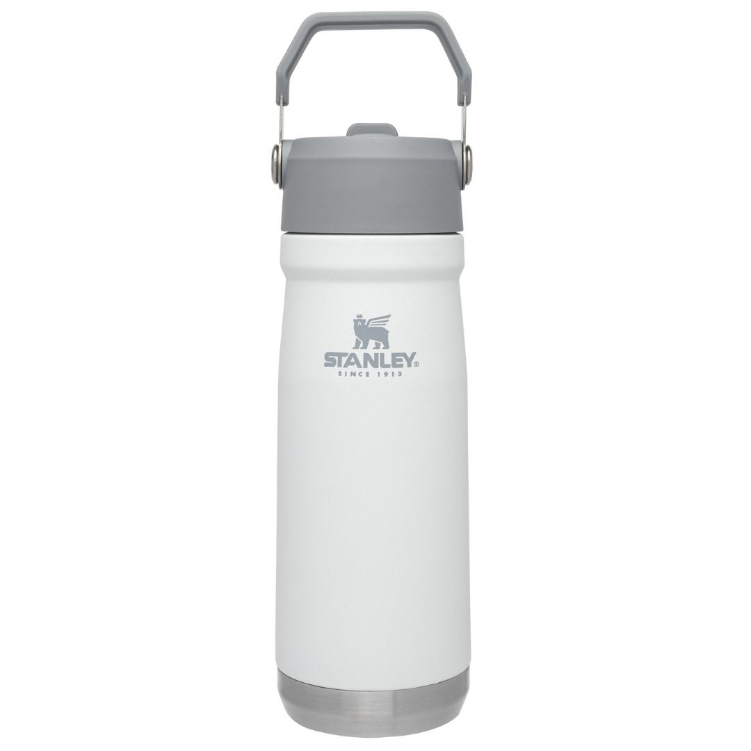 Stanley Flip Straw Water Bottle | 650 ML