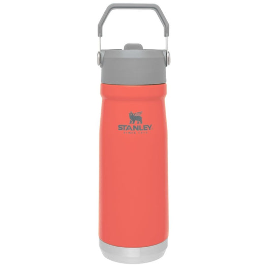 Stanley Flip Straw Water Bottle | 650 ML