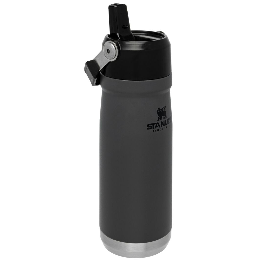 Stanley Flip Straw Water Bottle | 650 ML