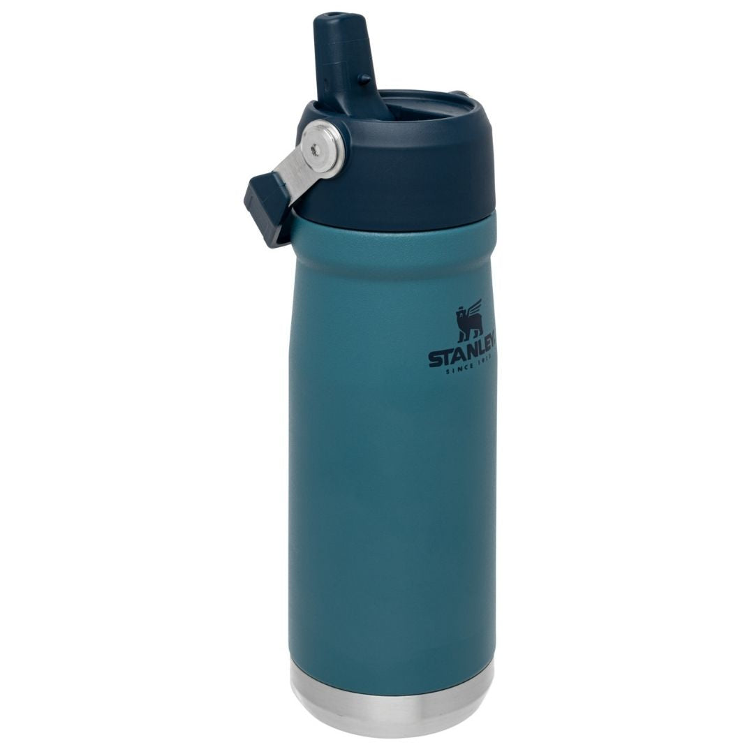 Stanley Flip Straw Water Bottle | 650 ML