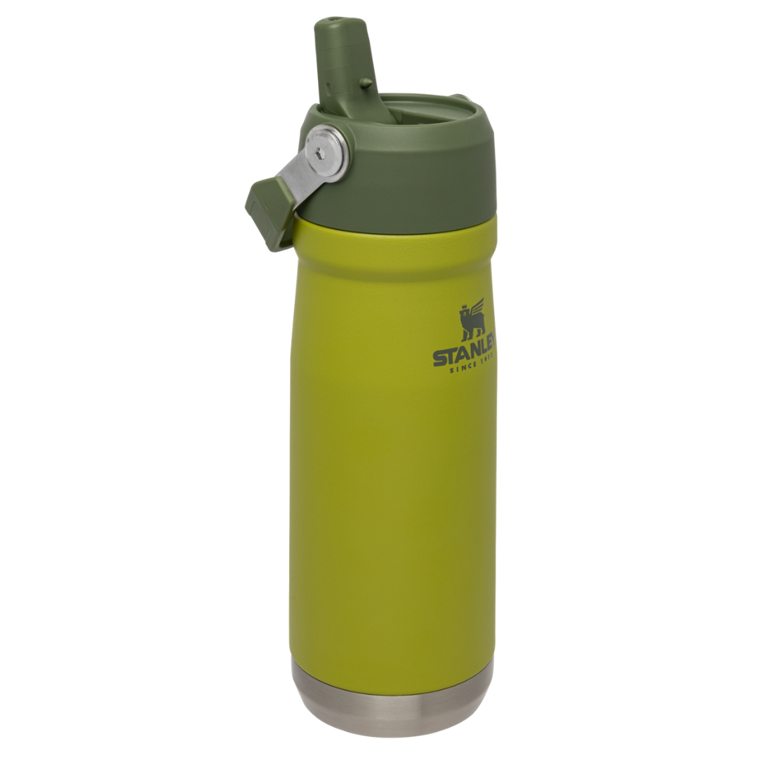 Stanley Flip Straw Water Bottle | 650 ML