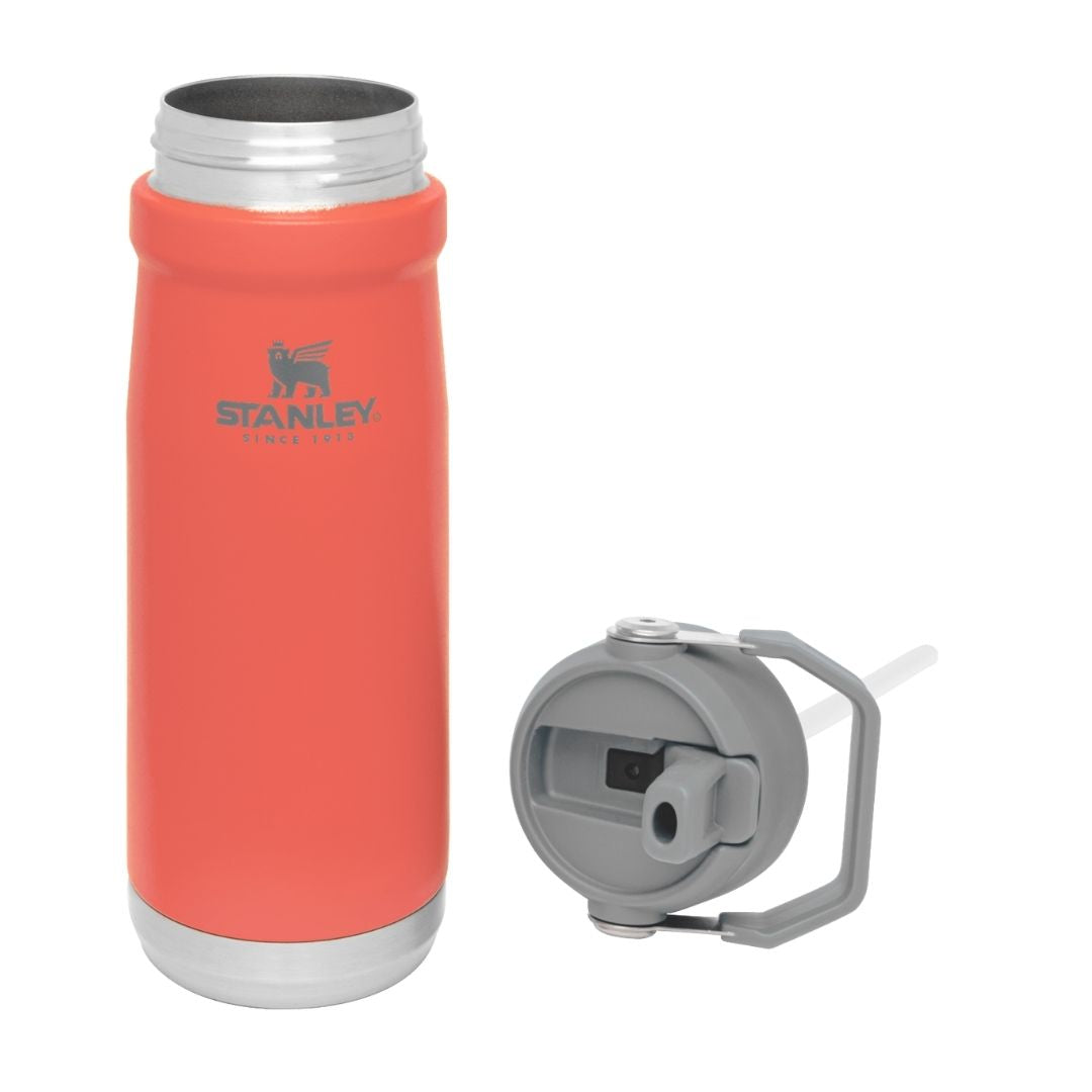 Stanley Flip Straw Water Bottle | 650 ML