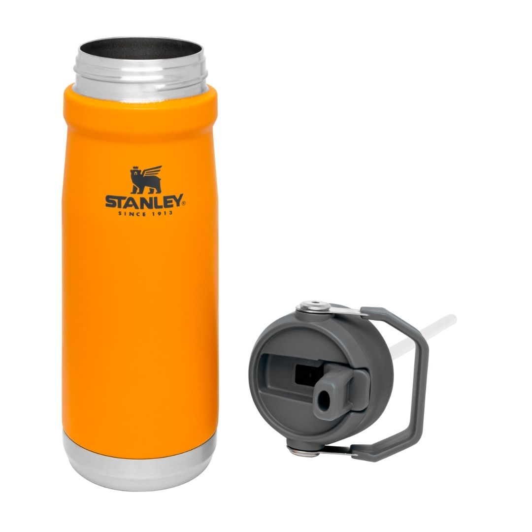 Stanley Flip Straw Water Bottle | 650 ML